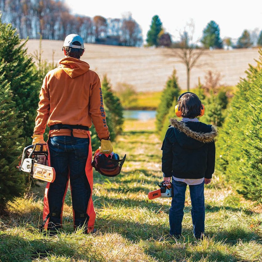 How To Choose A Christmas Tree: Tips From Expert Arborist Mark Chisholm ...
