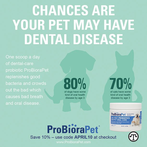 In a recent study, 88% of respondents reported that their pets&rsquo; breath has improved after taking a unique dental care product.