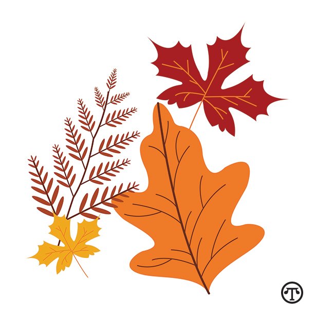 Prepare For Allergy Season This Fall North American Precis Syndicate