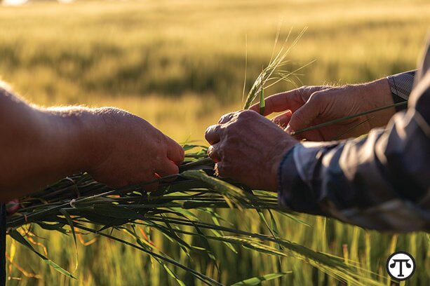 America&rsquo;s farmers grow top ingredients to the cheers of beer drinkers.