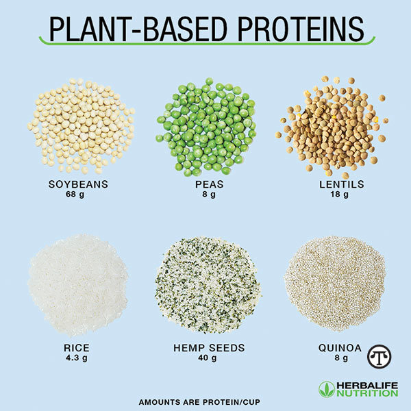 Health Benefits Of Plant-Based Nutrition | North American Precis ...
