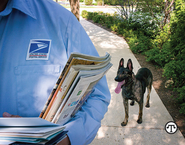 Four Tips For Preventing Dog Attacks On Mail    Carriers