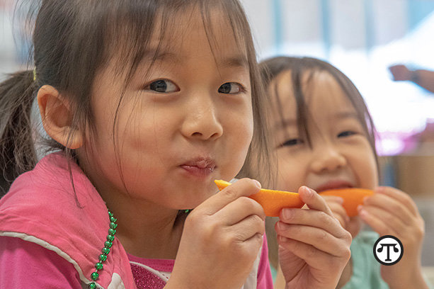 Easy Tips To Reduce Food Waste  In Your Child’s Lunch Box