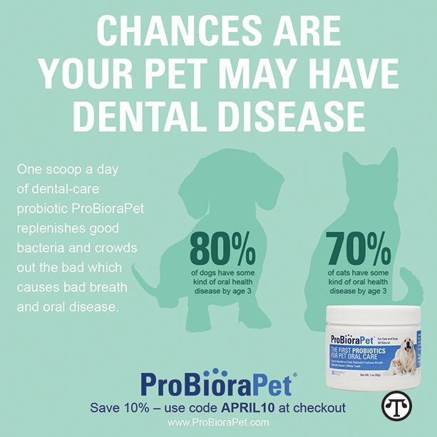 Pet’s Bad Breath May Mean Disease